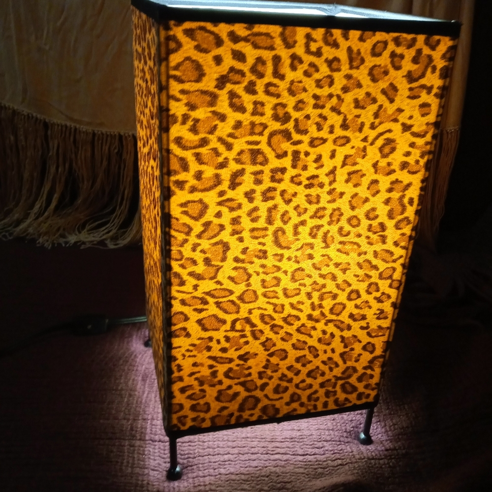 Decor Lamp - Picture 5 of 5